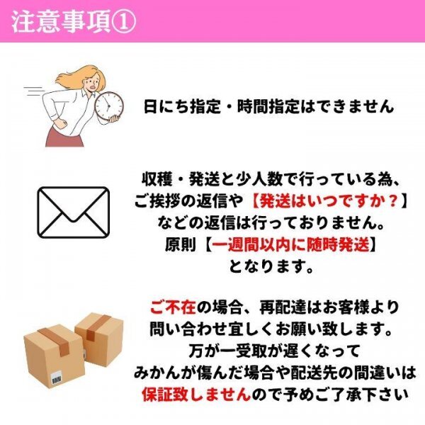 ★有田みかん YN26 極早生 ゆら早生 2㎏ ミカン 減農(nóng)薬 産地直送 高糖度 17量ゼリー種類旬蜜柑高濃度つや