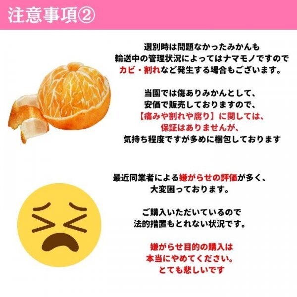 ★有田みかん YN26 極早生 ゆら早生 2㎏ ミカン 減農(nóng)薬 産地直送 高糖度 17量ゼリー種類旬蜜柑高濃度つや