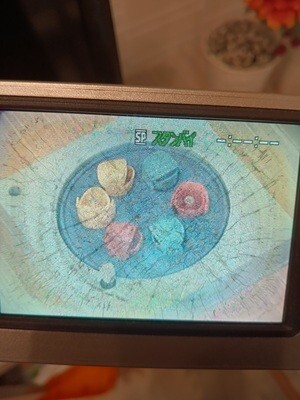 ソニー Sony DCR TRV20　#992-M02SE_画像10