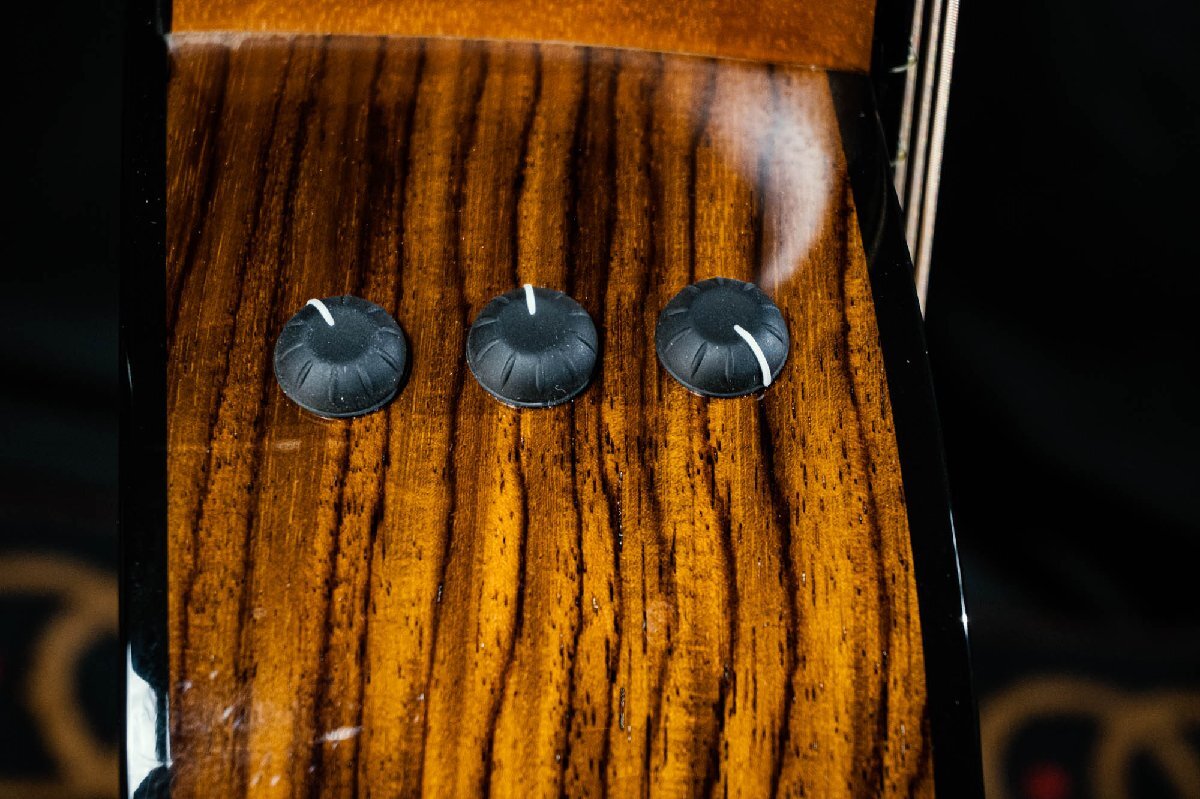 Taylor 214ce Plus / 2020年制 テイラー エレアコ アコースティックギター 3139221 D1006