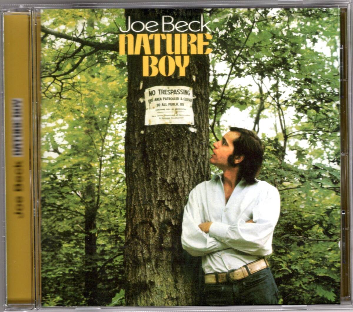 JOE BECK/NATURE BOY_画像1