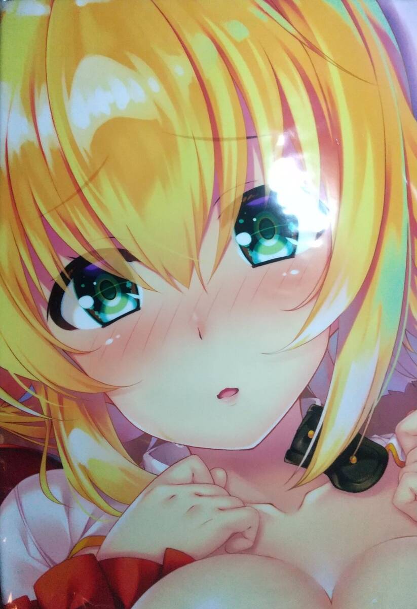 [ нераспечатанный стандартный товар ] девушки * книжка *mei машина tail Dakimakura покрытие yume Mill C96...21