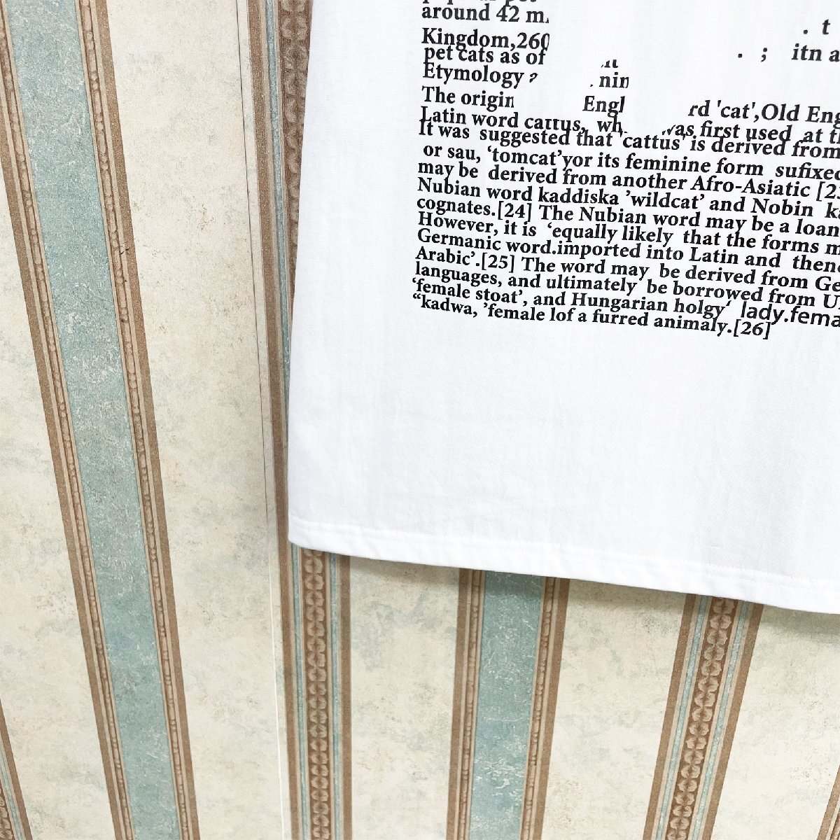 一枚限定 定価2萬(wàn) FRANKLIN MUSK?アメリカ?ニューヨーク発 半袖Tシャツ 薄手 通気 吸汗 ネコ 英字 カットソー 可愛(ài)い カジュアル 定番 4