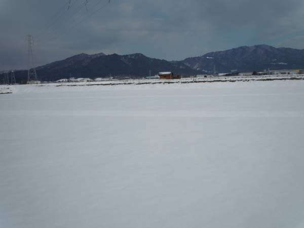 令和7年新米 とれたて新米 近江ミルキークイーン ●便利な小分け●送料無料(一部地域除く) 白米27Kg(玄米30Kg)