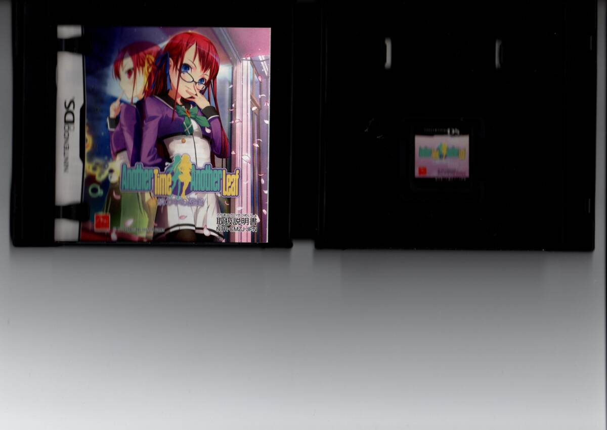 DS Another time another leaf ~鏡の中の探偵~ アナザータイムアナザーリーフ 中古 正常動作品_画像2