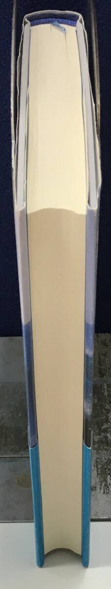 K0930-07 фирма участник . серфинг . line .. для Patagonia создание человек. управление теория Восток экономика новый . фирма 2009 год 8 месяц 12 день no. 9. выпуск ivon*shuina-do