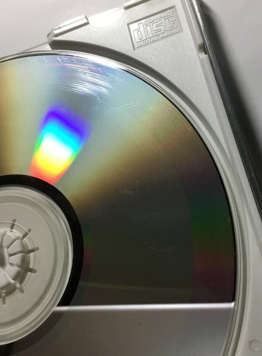 トランスヴィジョンヴァンプ/リトルマグネットとザバブルオブバブルの対決/TRANSVISION VAMP Little Magnets Versus the Bubble of Babble _画像5