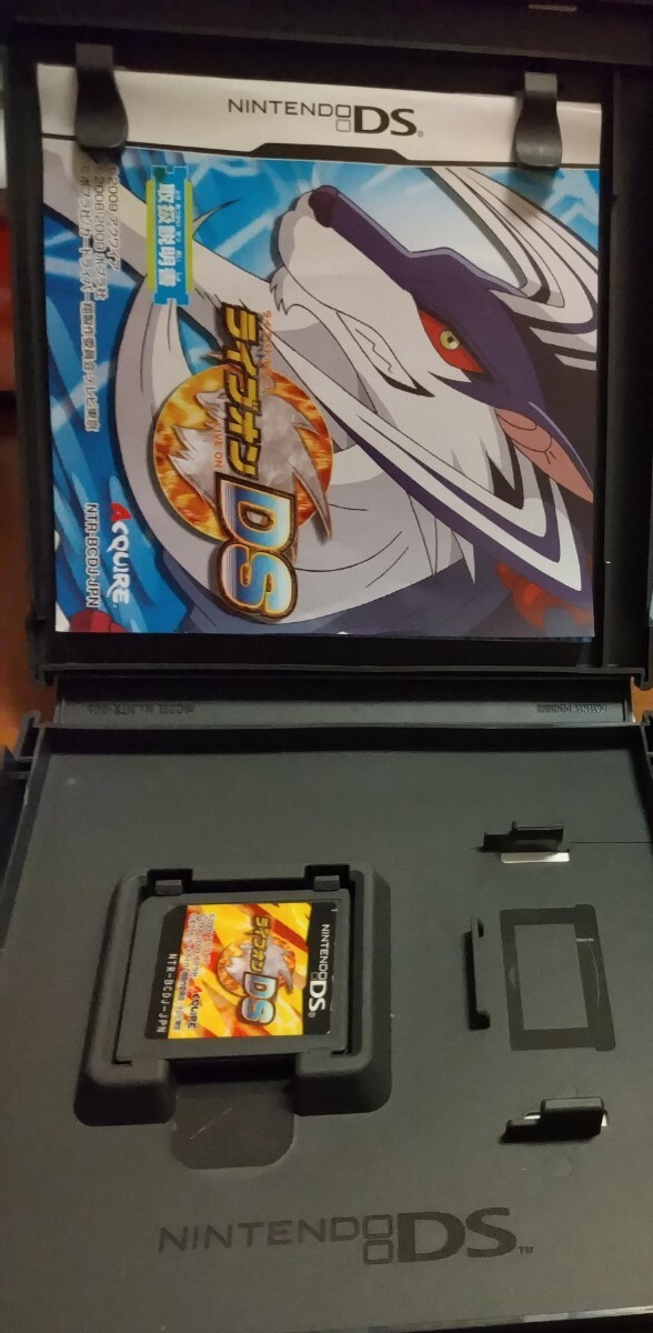 【送料無料】ニンテンドーDS　ライブオン DS　　動作確認済・箱説付き_画像3