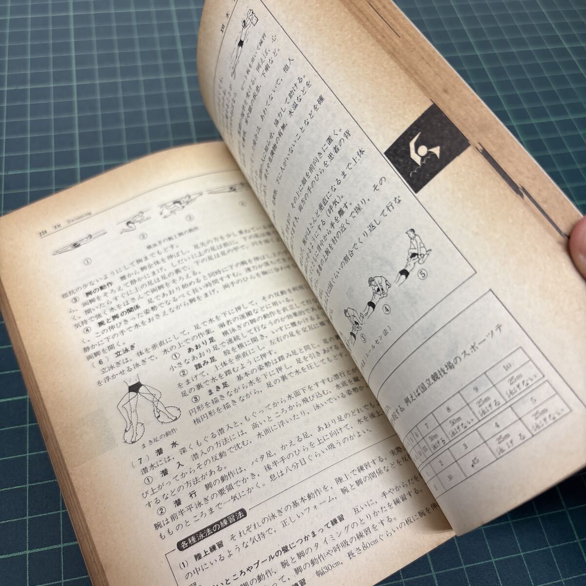 高校スポーツとルール 総合版 栗本義彦 今村嘉雄 猪飼道夫 （共編） 新学習指導要領準拠 大修館書店 昭和43年 新訂版 体操 _画像8
