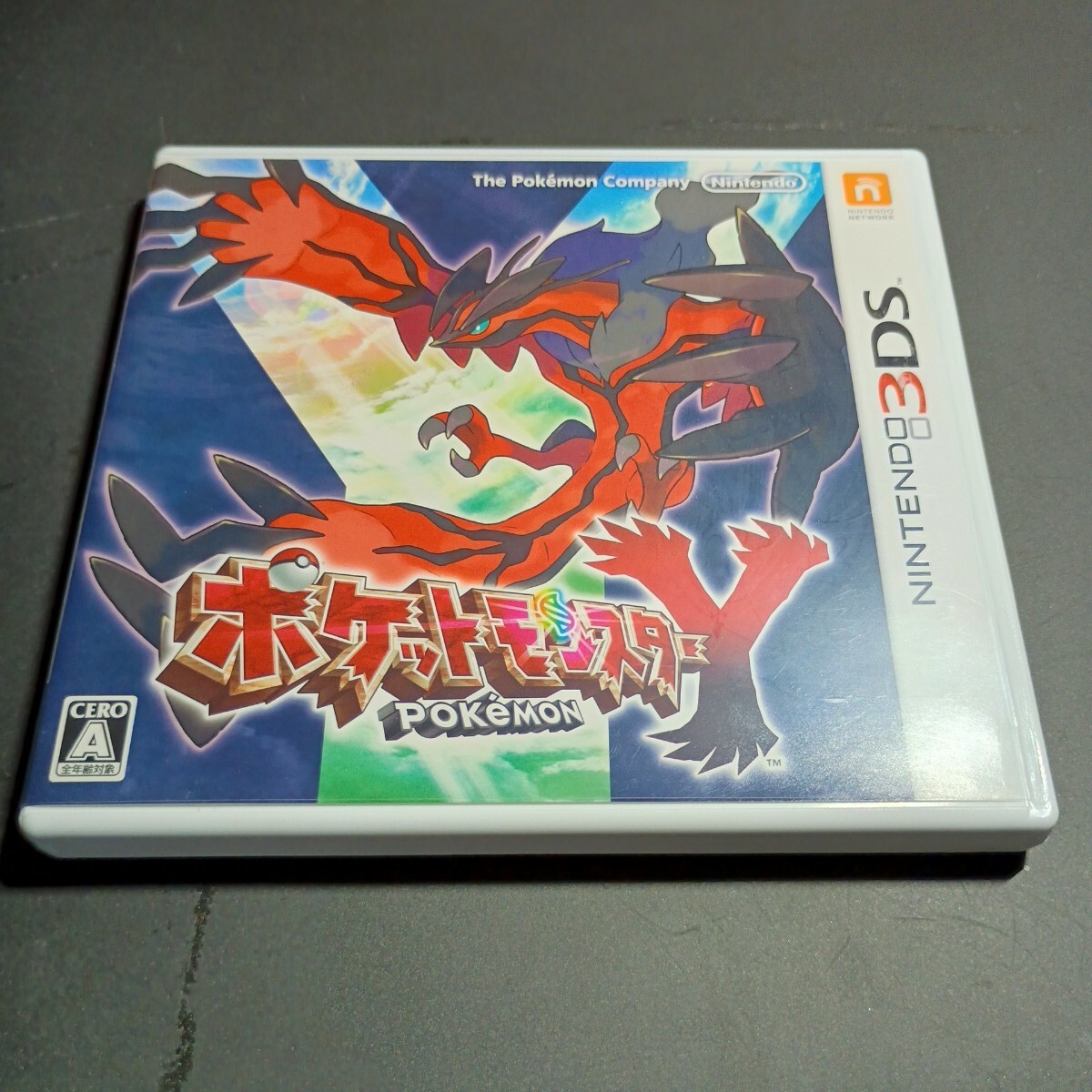 【ケースと操作説明シートのみ】送料無料 即買 3DS ポケットモンスターY_画像1