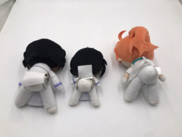 Fate フェイト　ぬいぐるみ、ミニクッション含む　まとめてセット　中古品#df-5092