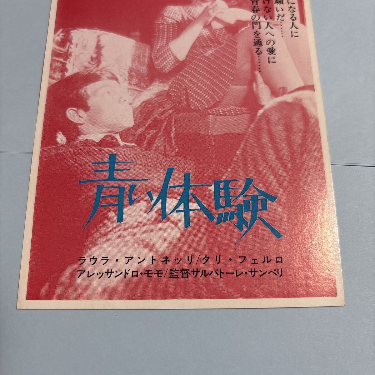EE26　■送料無料◆希少 未使用『 青い体験 』 映画ハガキ 試写ご招待 当時物_画像3