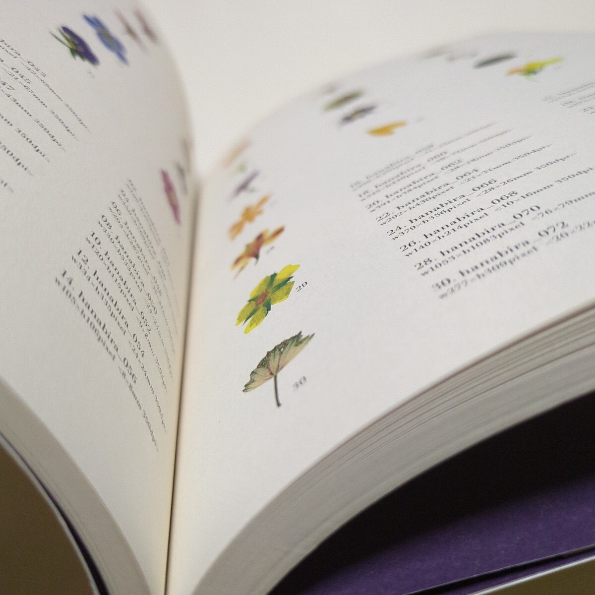 押し花素材集 柳原祥子 林美奈子 翔泳社 付属ディスク付 中古 01001F009_画像8