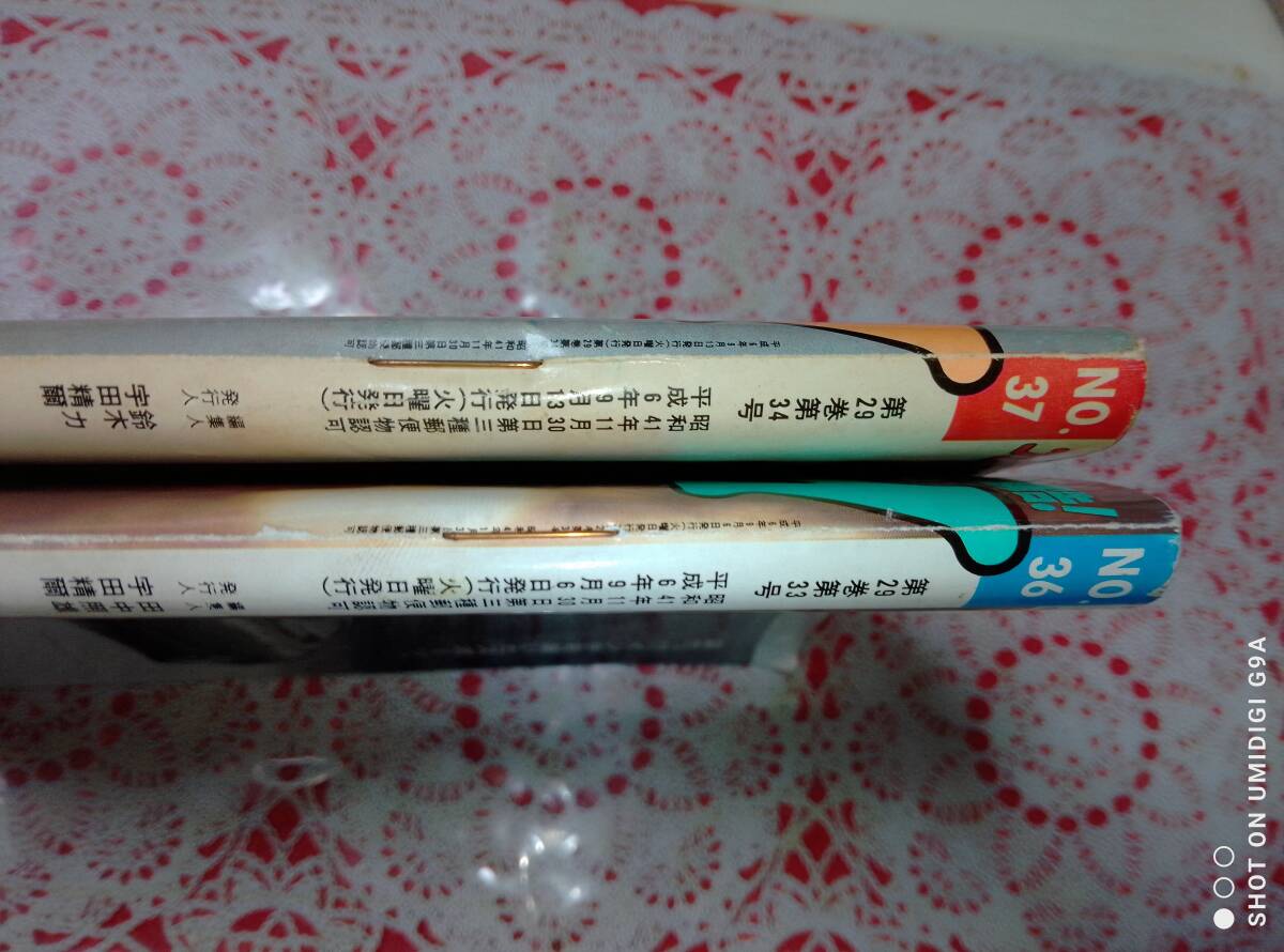 週刊プレイボーイ 1994年9月6日号・1994年9月13日号☆2冊セット〇小島聖/中村通代/藤谷美和子/本田理沙/藤原紀香/浜崎あゆみ/笹峰愛_画像8