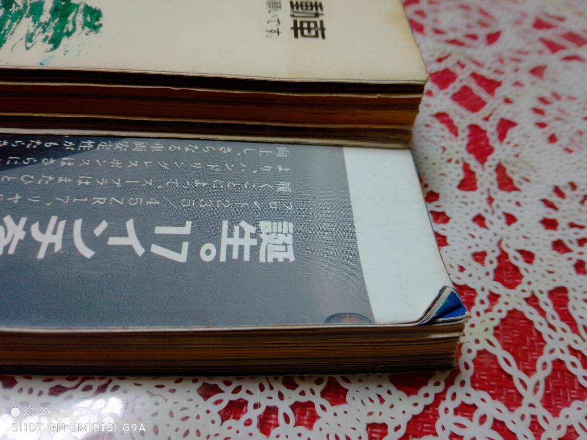 週刊プレイボーイ 1994年9月6日号・1994年9月13日号☆2冊セット〇小島聖/中村通代/藤谷美和子/本田理沙/藤原紀香/浜崎あゆみ/笹峰愛_画像7