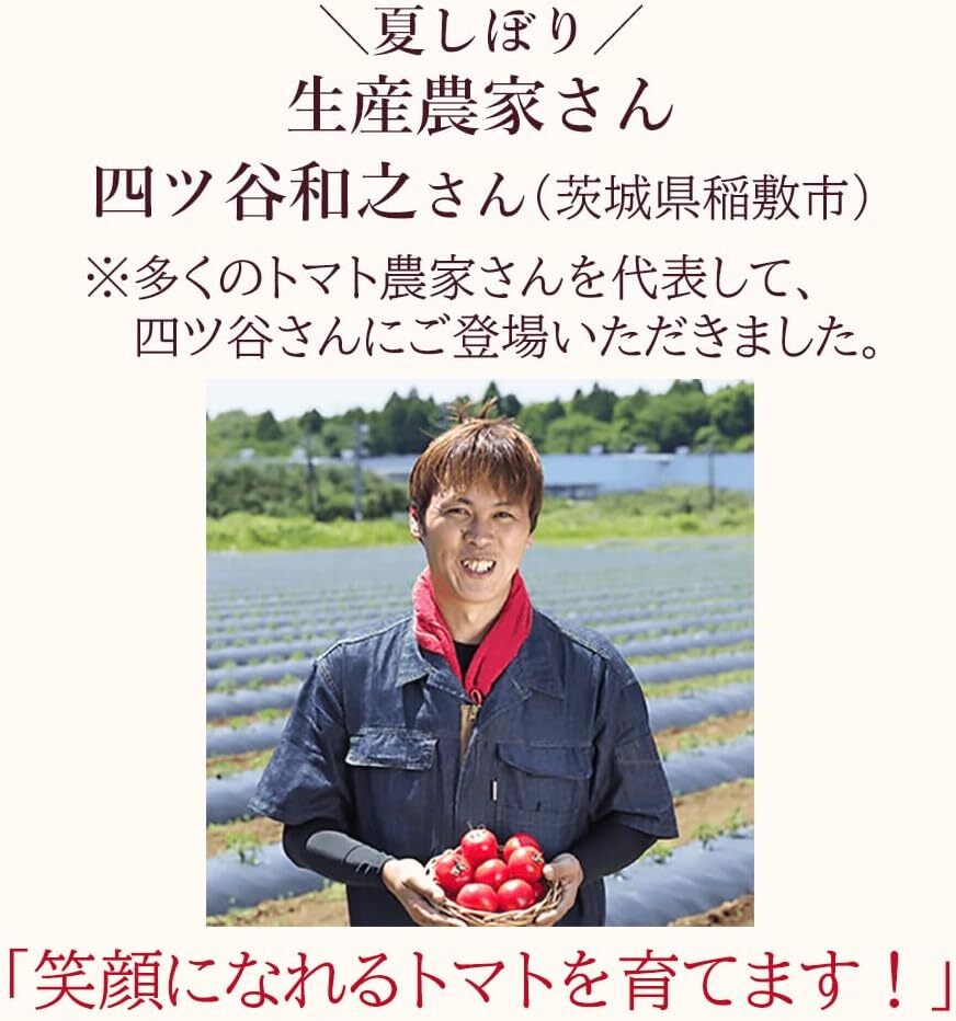 KAGOME カゴメ 夏季限定品　夏しぼり トマトジュース 190g 30本 セット 1ケース 國産トマト100% 