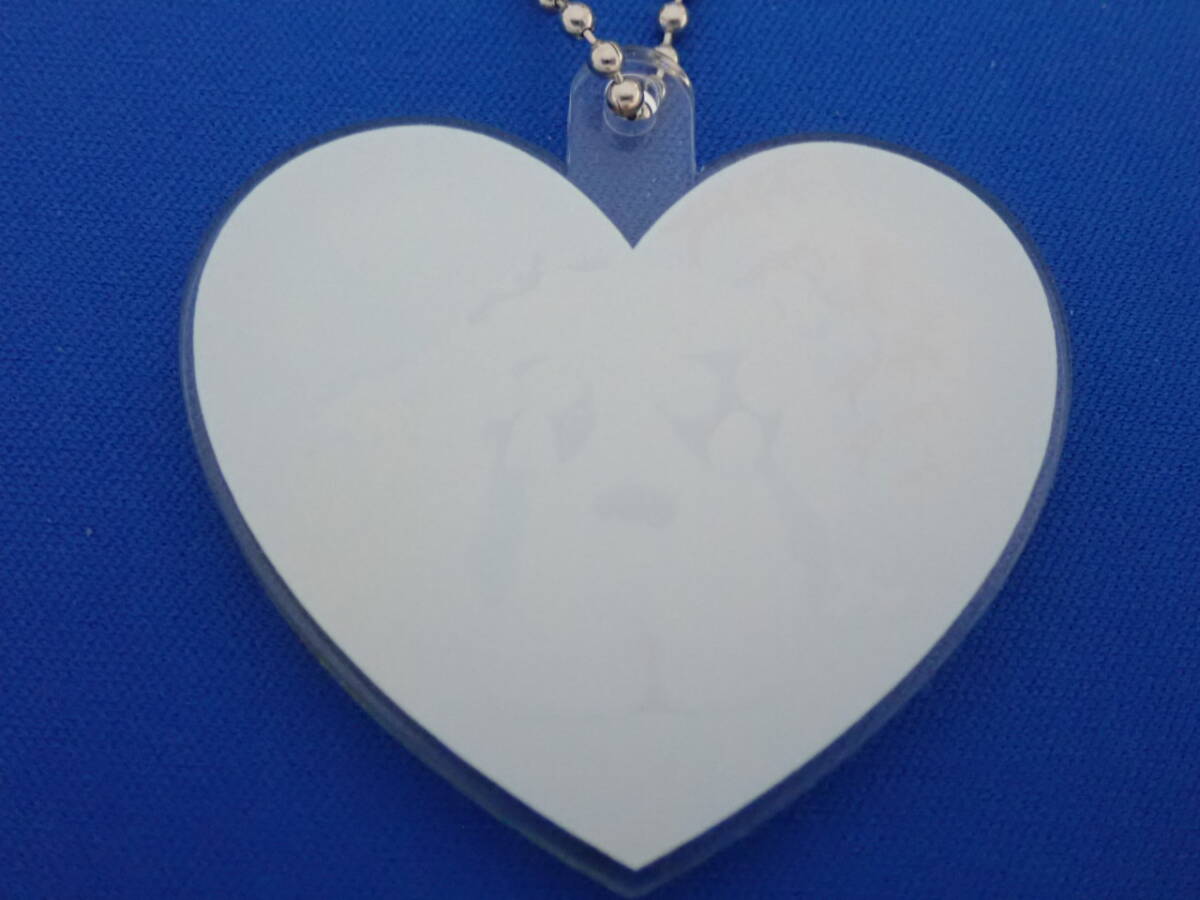 * тот Chan .. trailing брелок для ключа [A]* не использовался товар * тот Chan * телевизор утро день *