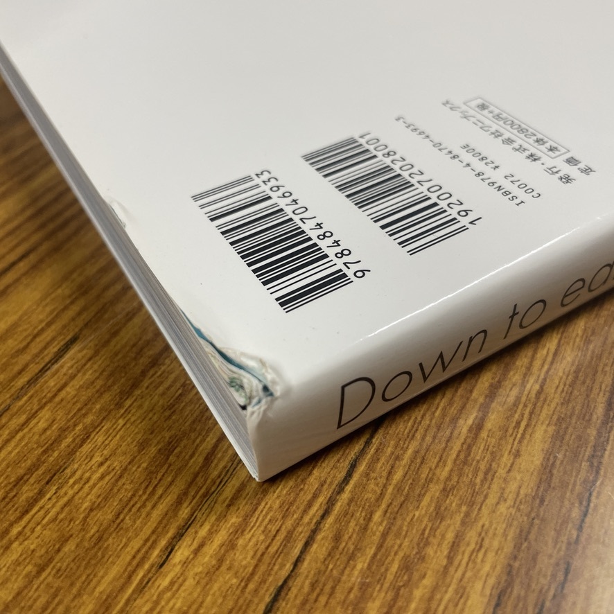 深田恭子 寫真集 Down to earth Kyoko Fukada