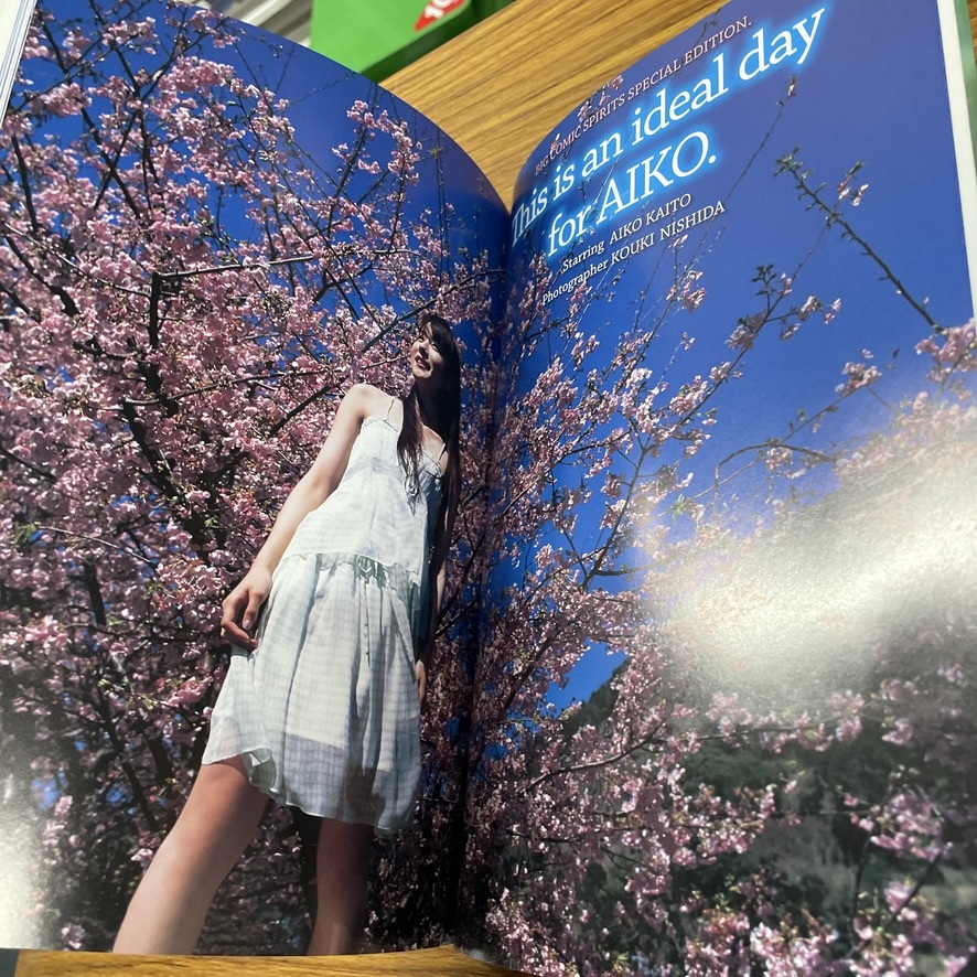 寫真集 皆藤愛子 寫真集「「あいこ日和」 DVD付 /識別番號②