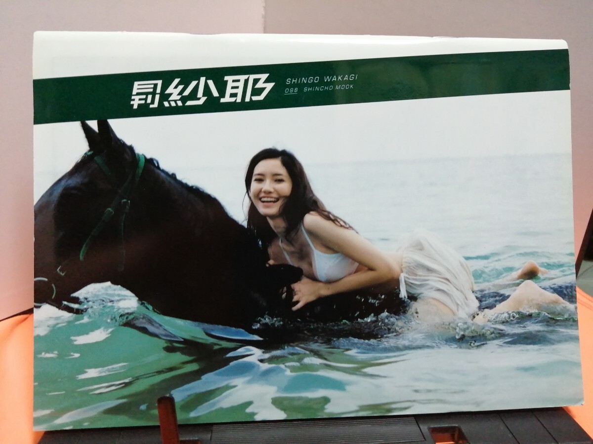 月刊紗耶 (SHINCHO MOOK 98)　