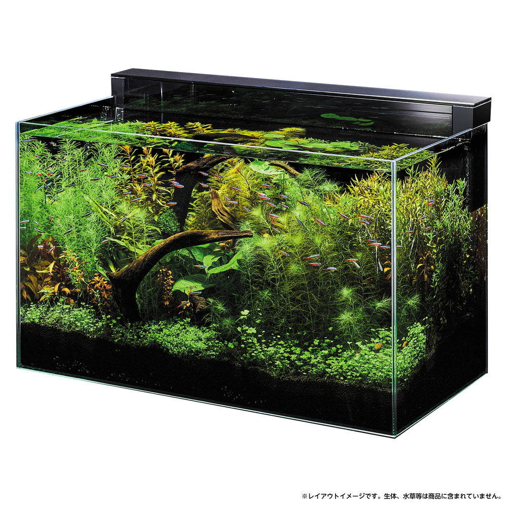 GEX グラスカスタム６００ 　新品 送料無料_画像5