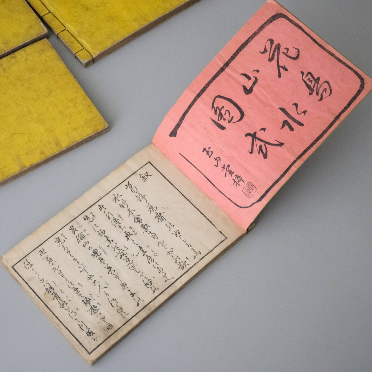 花鳥山水図式 全5冊 葛飾北斎画 和本 浮世絵 鍔 小道具 本草 絵手本 刀鍔 動物 植物 葛飾為斎 魚 猫 花 古文書の画像6