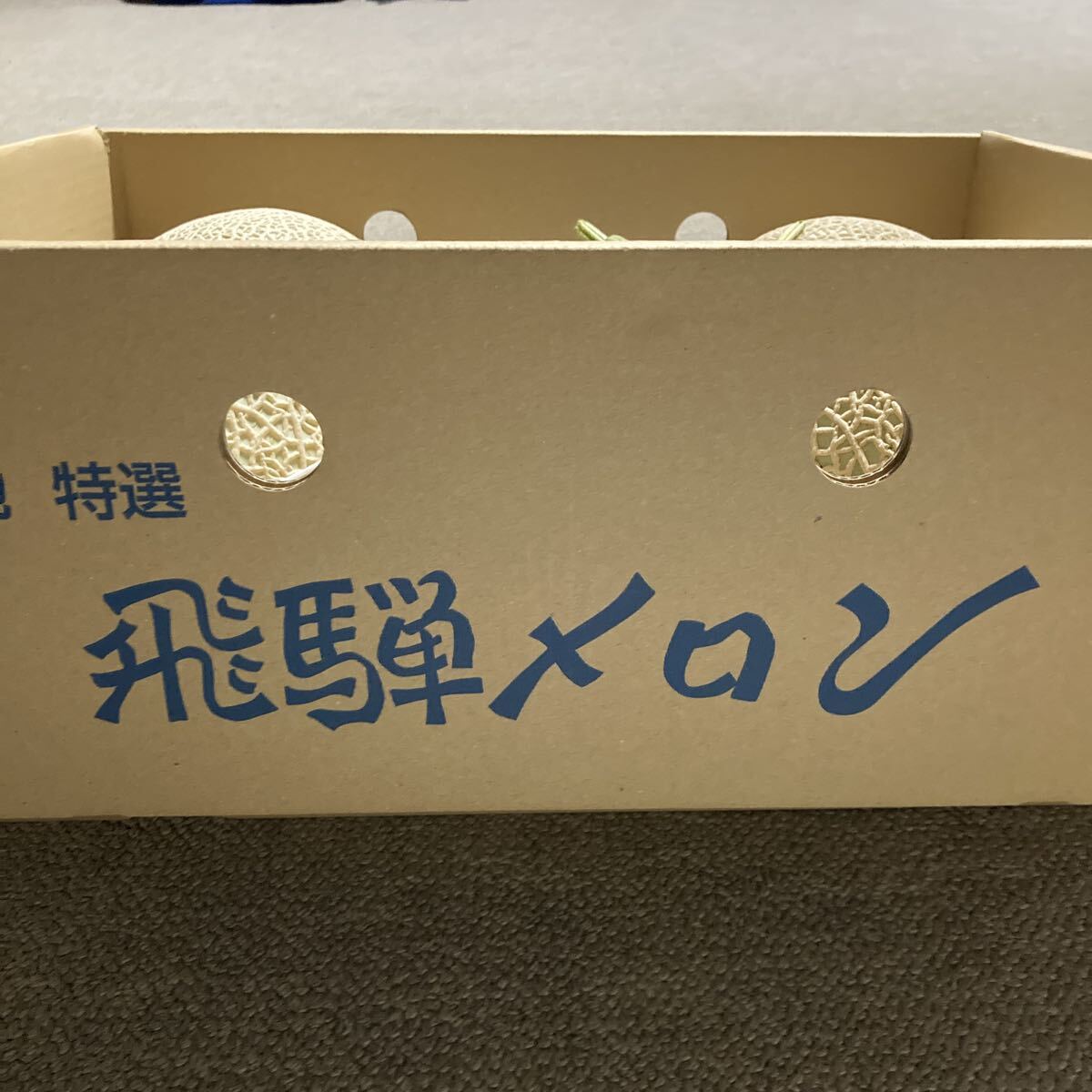 飛騨メロン　岐阜県産