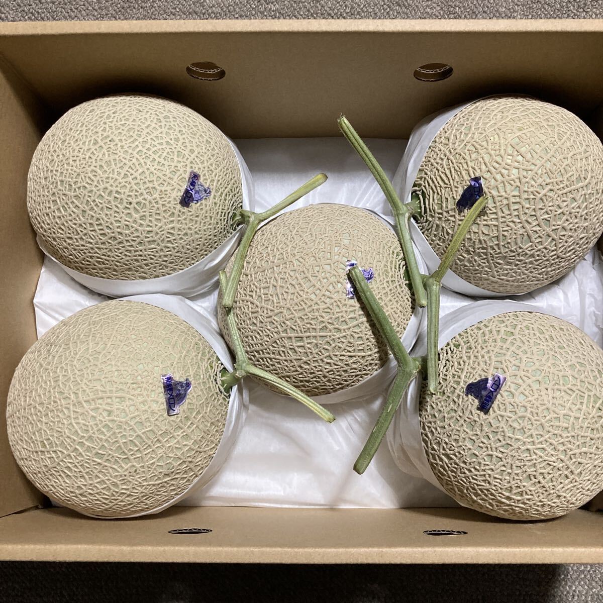 飛騨メロン　岐阜県産