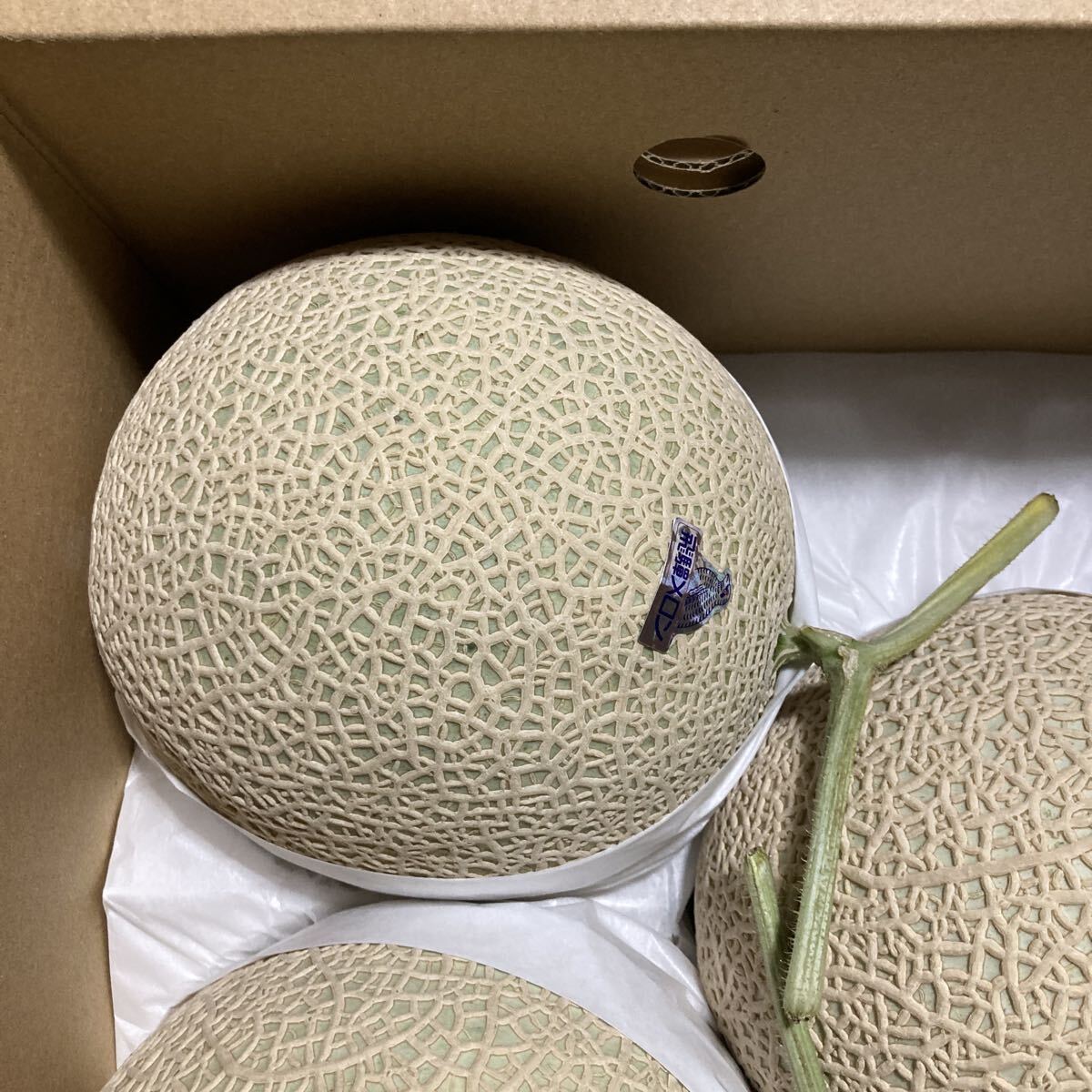 飛騨メロン　岐阜県産