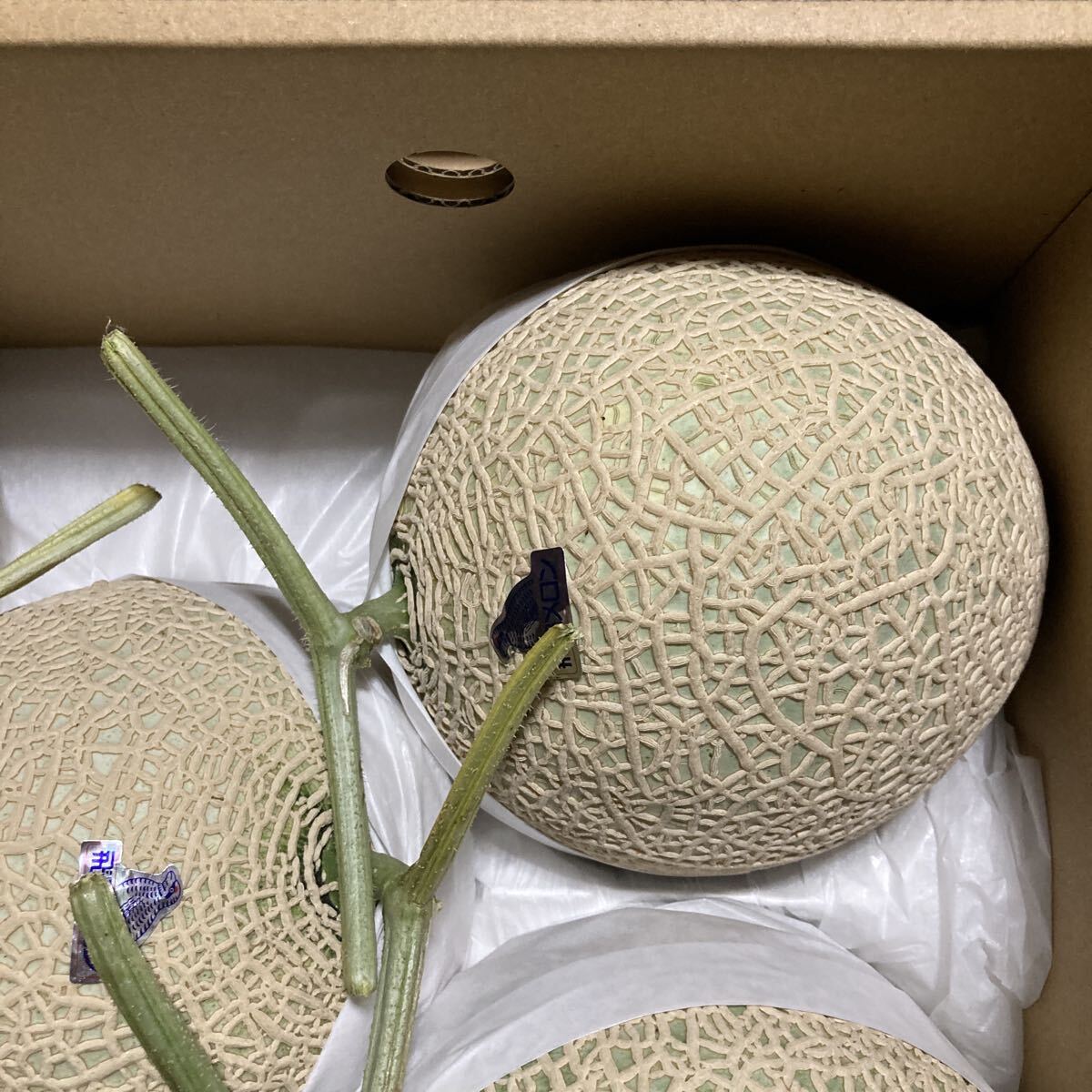 飛騨メロン　岐阜県産