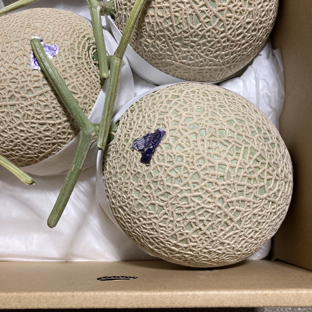 飛騨メロン　岐阜県産