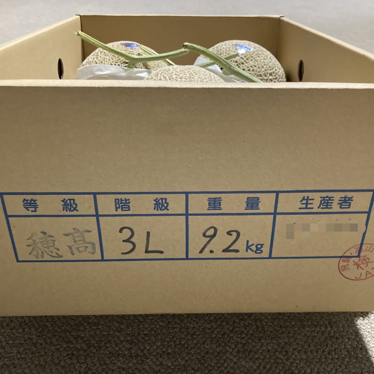 飛騨メロン　岐阜県産