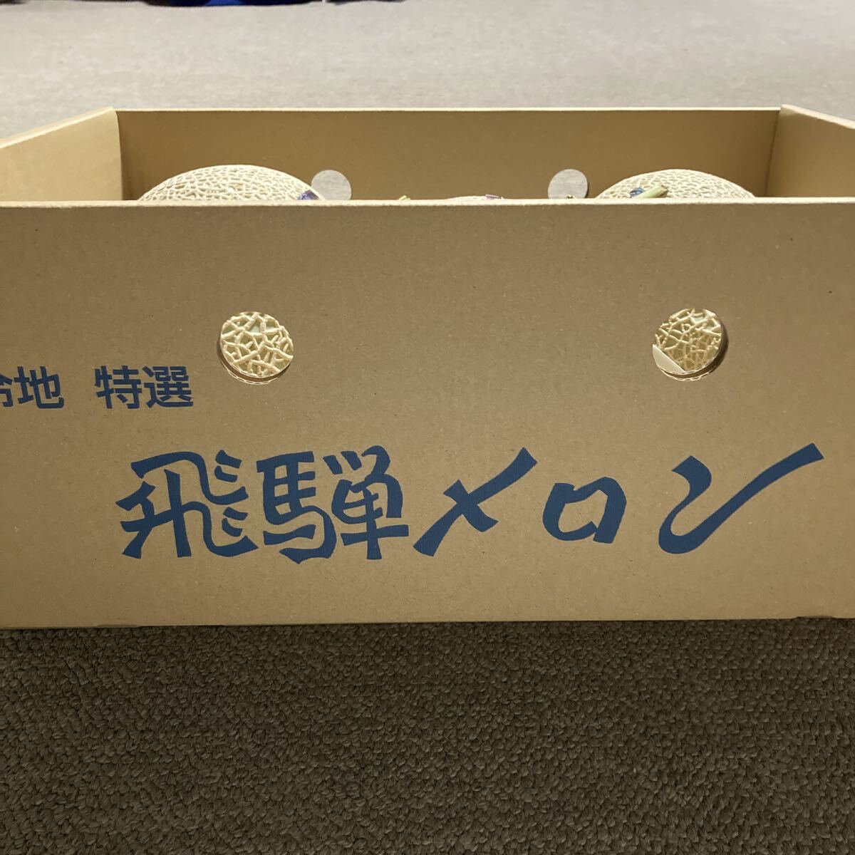 飛騨メロン　岐阜県産　