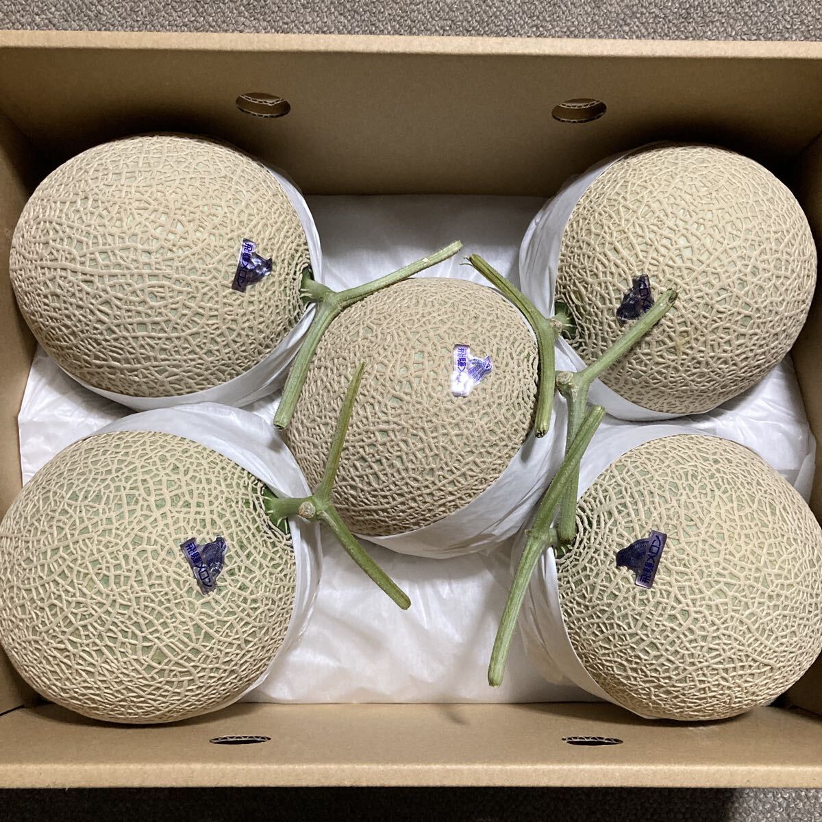 飛騨メロン　岐阜県産　