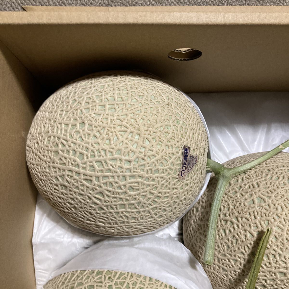 飛騨メロン　岐阜県産　