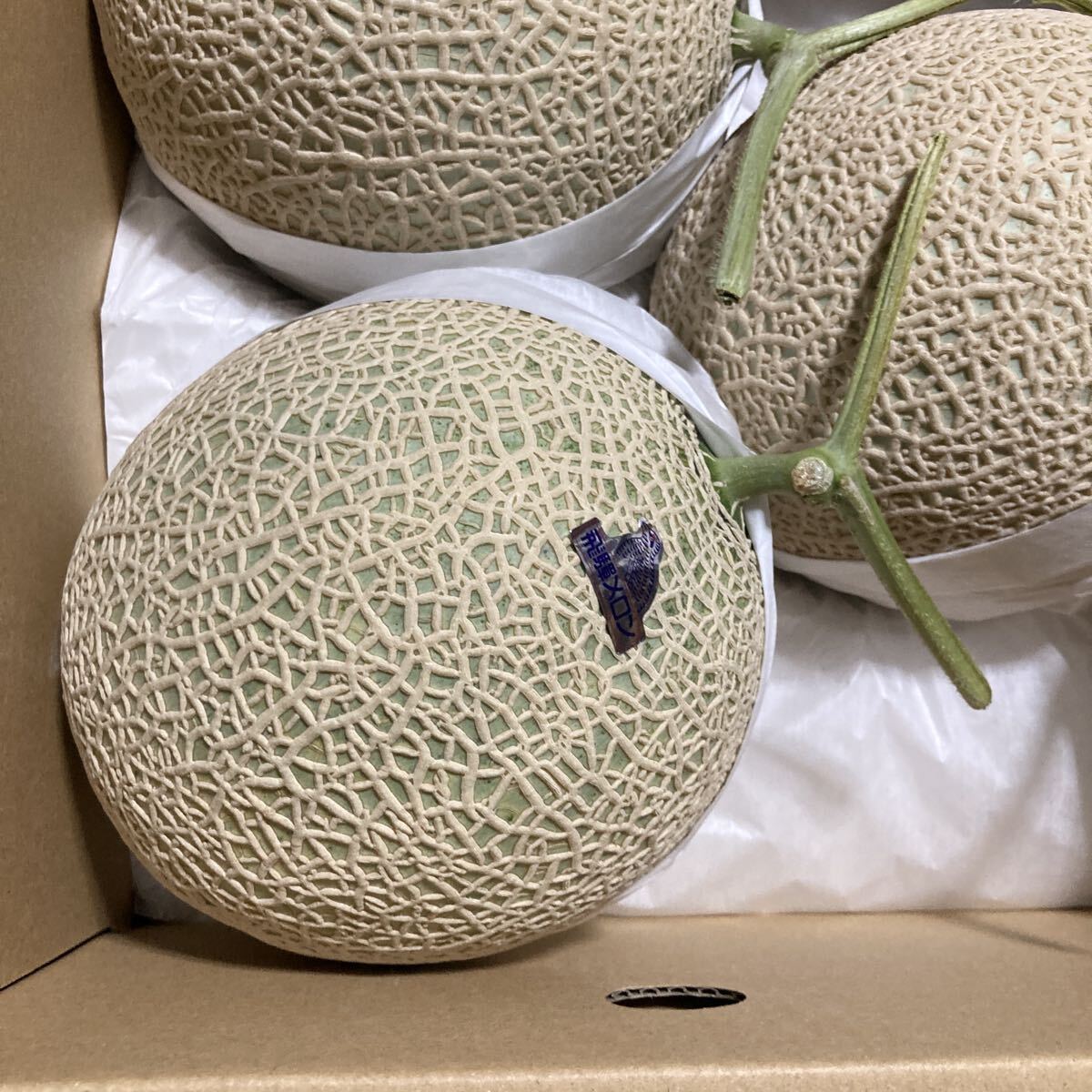 飛騨メロン　岐阜県産　