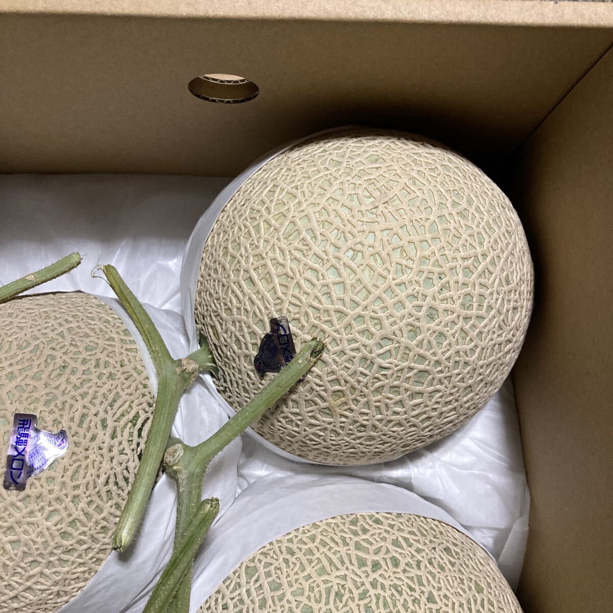 飛騨メロン　岐阜県産　