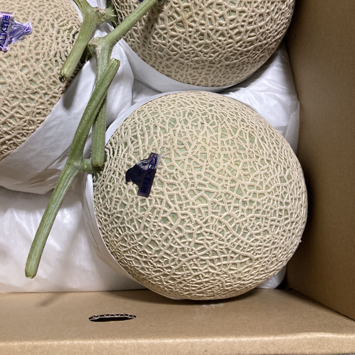 飛騨メロン　岐阜県産　