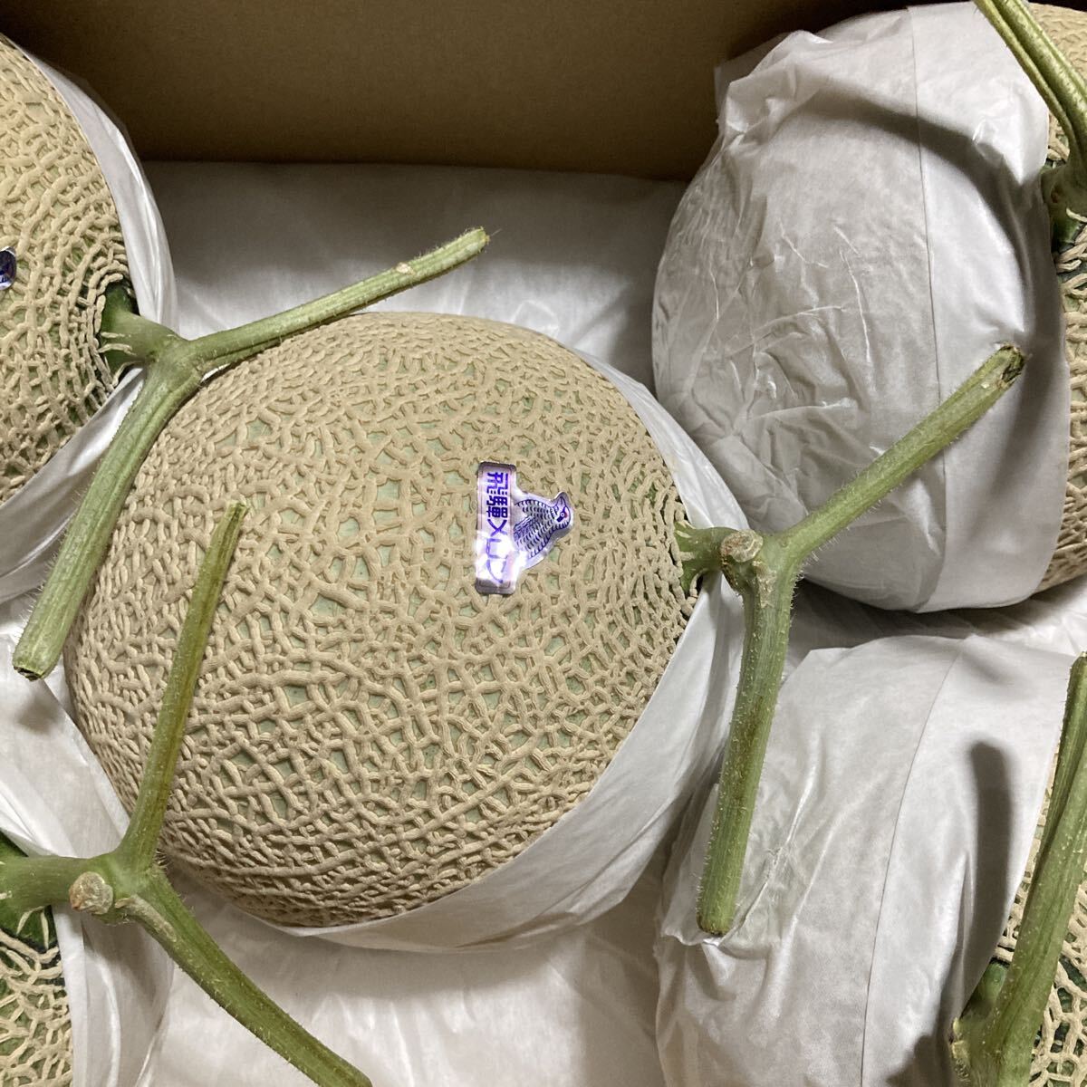 飛騨メロン　岐阜県産　