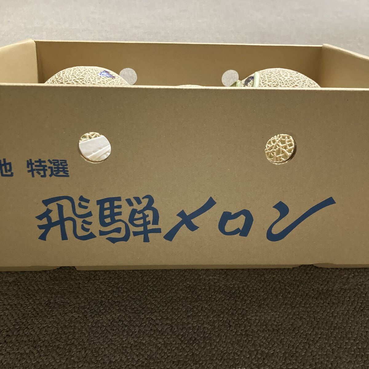 飛騨メロン　岐阜県産