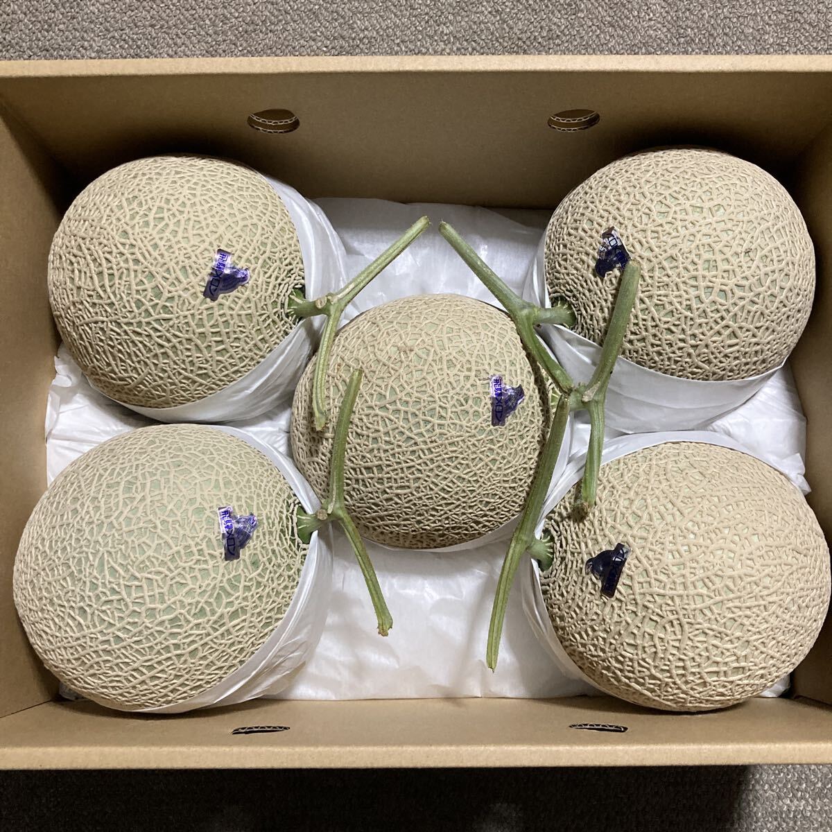 飛騨メロン　岐阜県産