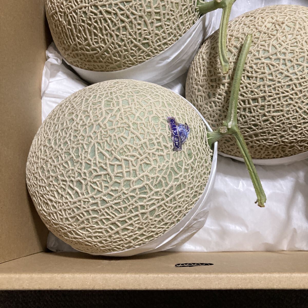 飛騨メロン　岐阜県産