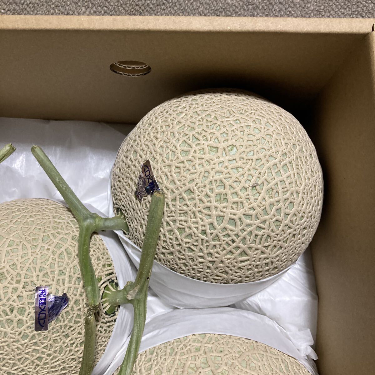 飛騨メロン　岐阜県産