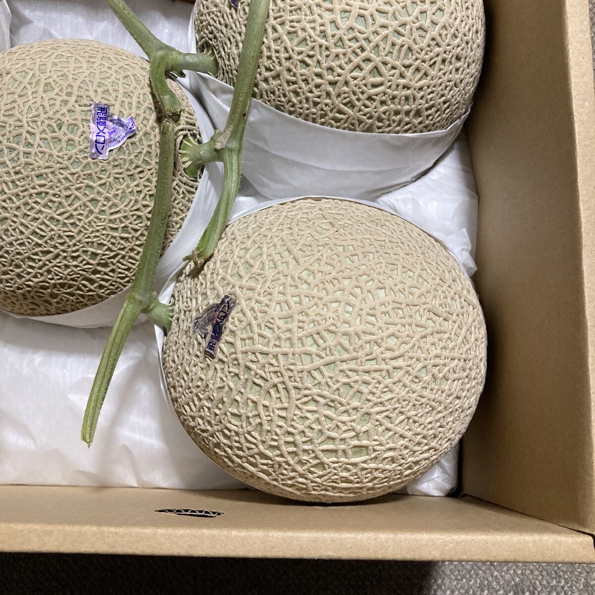 飛騨メロン　岐阜県産