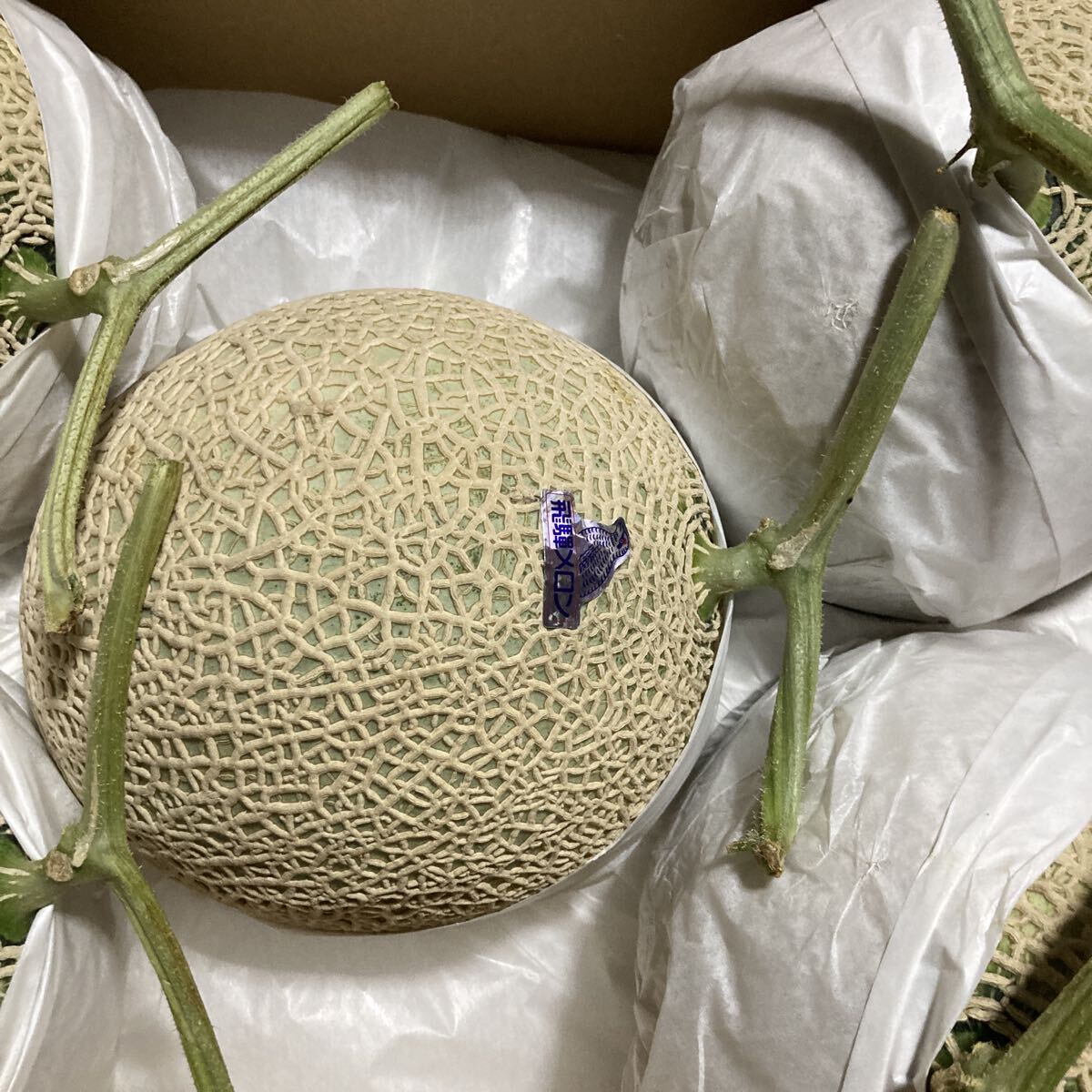 飛騨メロン　岐阜県産