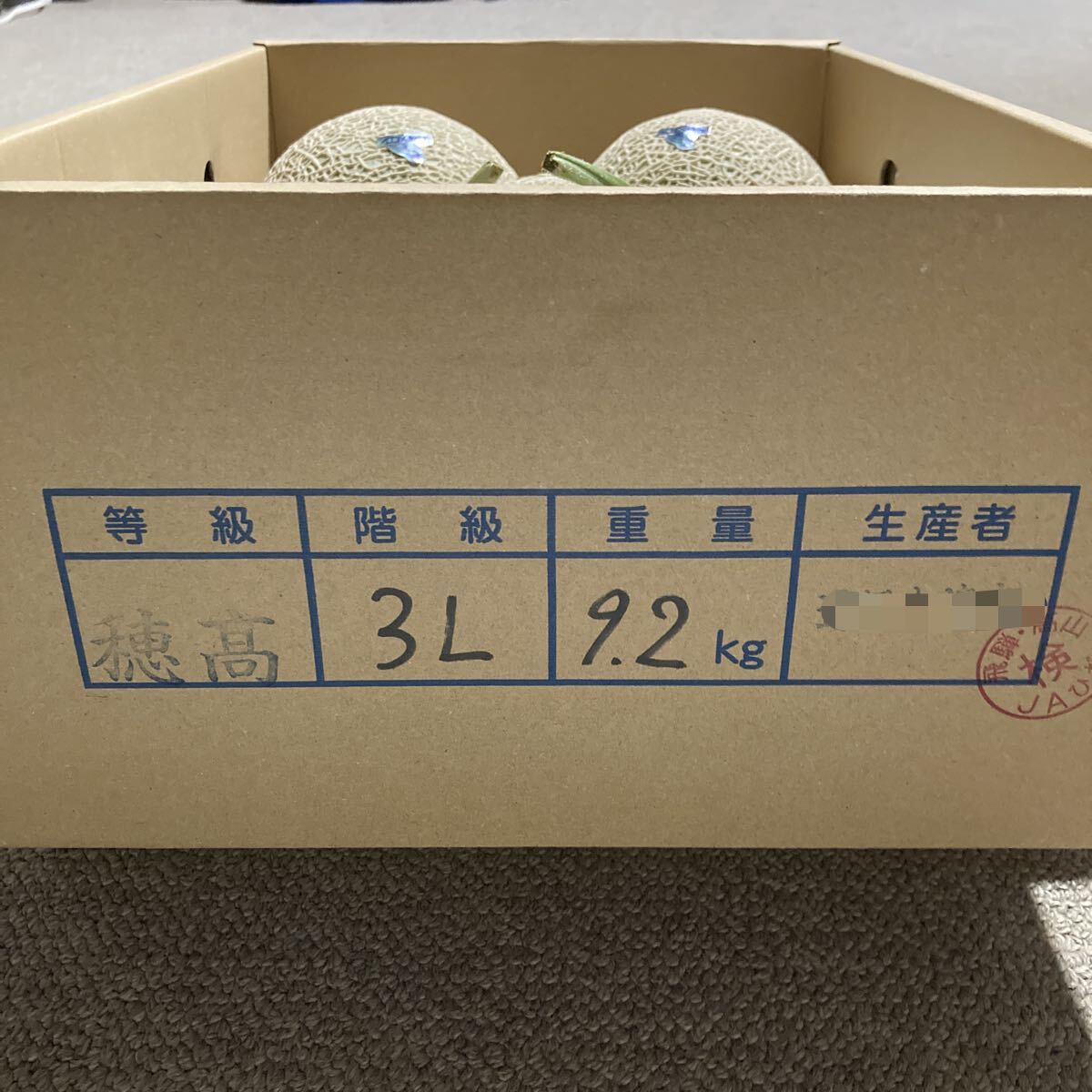 飛騨メロン　岐阜県産