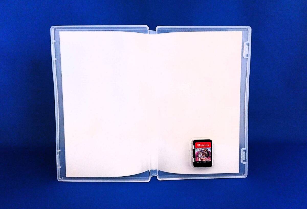 Switch ソフト 百英雄伝Rising 即決！_画像2