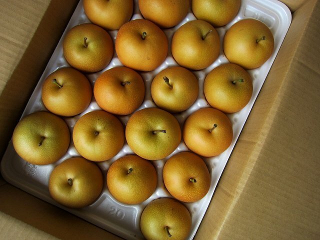 5箱、希少品種「新興/大玉 5kg」20玉以內(nèi)...高糖度、多汁な梨です。