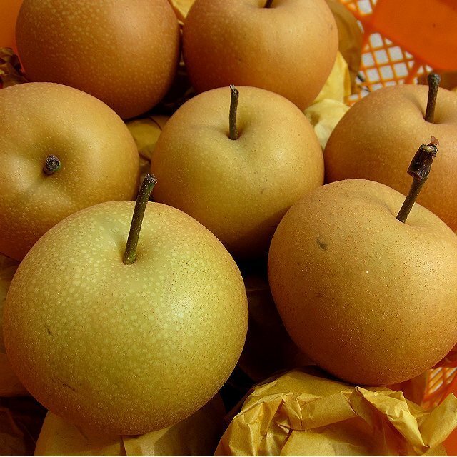 5箱、希少品種「新興/大玉 5kg」20玉以內(nèi)...高糖度、多汁な梨です。