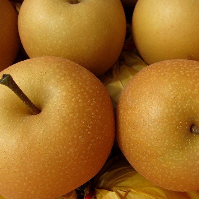 5箱、希少品種「新興/大玉 5kg」20玉以內(nèi)...高糖度、多汁な梨です。